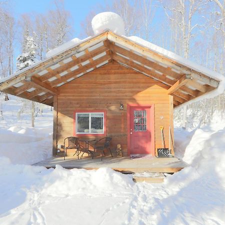 Birch Cabin Talkeetna Exterior photo